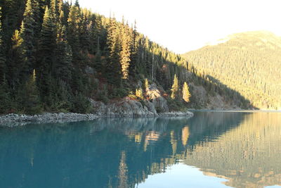 Scenic view of lake by trees against sky