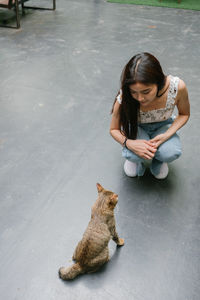 High angle view of young woman crouching by cat on road
