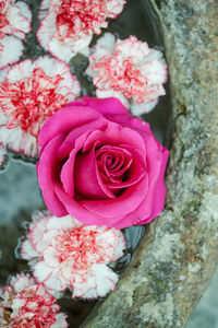 Close-up of pink rose bouquet