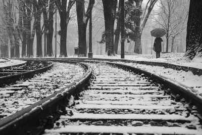 View of railroad tracks by trees during winter