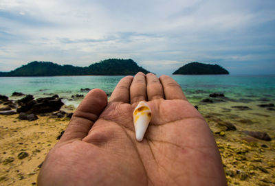 Cropped hand holding rock at beach against sky