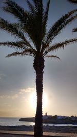 Silhouette tree by sea against sky during sunset