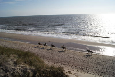 High angle view of people horseback riding at beach