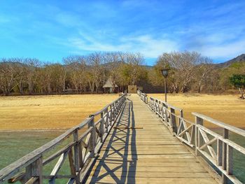 Wooden walkway along plants and trees against sky