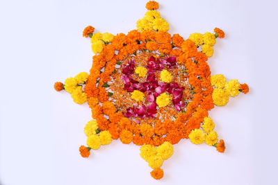 High angle view of orange flower on white background