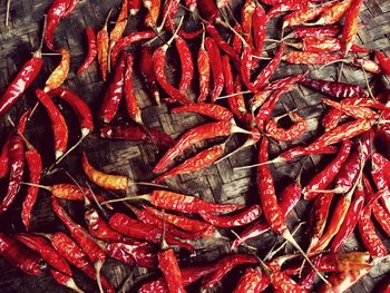 High angle view of red chili peppers