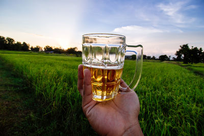 Cropped image of hand holding beer glass