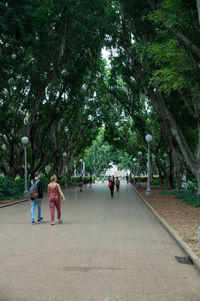 Footpath in park