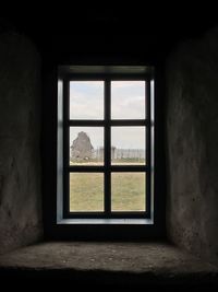 Trees seen through window of old building