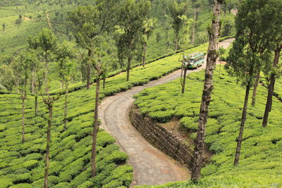 Scenic view of rural landscape