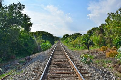 Railroad track amidst trees on field