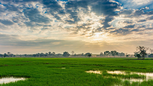 Scenic view of field against sky during sunset