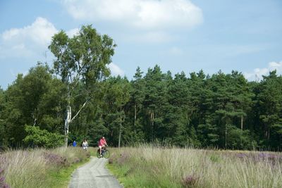 People walking on road amidst trees against sky