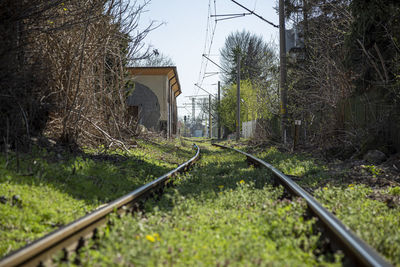 Railroad tracks stretch into distance in bulgaria.