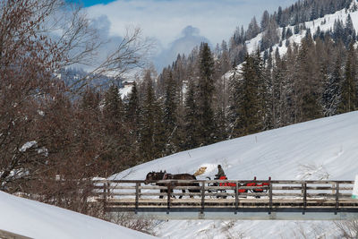 People walking on snow covered field against sky