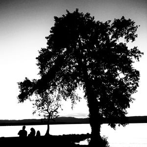 Silhouette tree by lake against clear sky