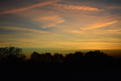 Silhouette trees against sky during sunset