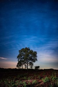 Trees on field against sky at night