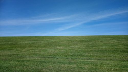 Scenic view of field against blue sky