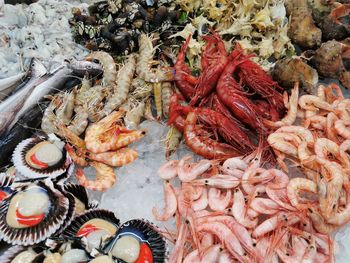 High angle view of fish for sale in market