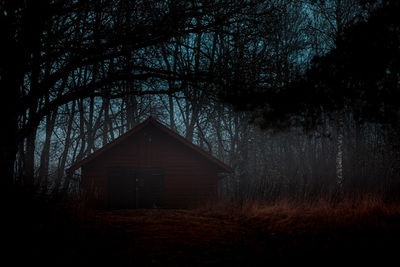 View of abandoned house in forest