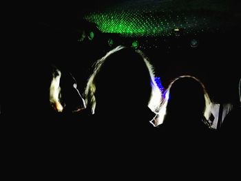 Close-up of silhouette people at night