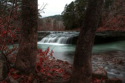 Scenic view of waterfall in forest