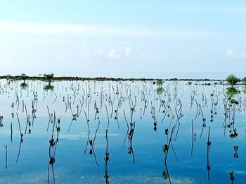 Scenic view of lake against sky