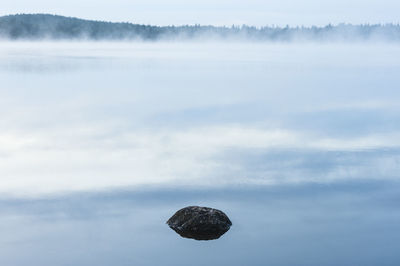Stone lying in still and misty lake