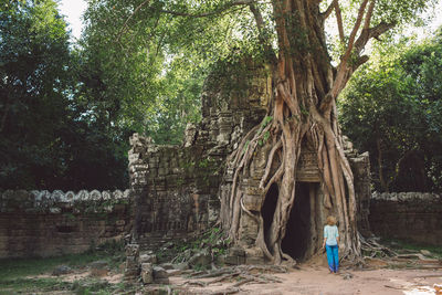 Rear view of woman looking at tree root over entrance in temple