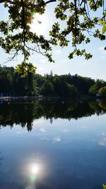 Reflection of trees in calm lake