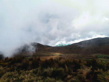 Scenic view of landscape against sky