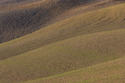 Scenic view of field