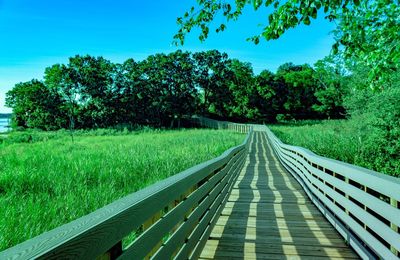 View of trees on landscape against clear sky