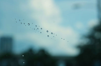 Close-up of water drops against sky