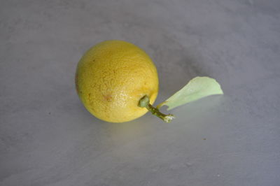Close-up of yellow flower