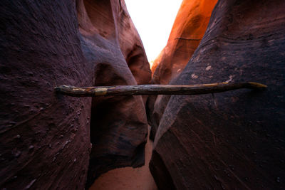 Low angle view of a horse on wall