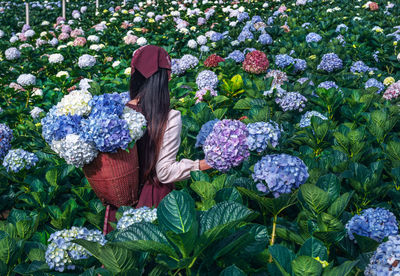 Woman with basket standing amidst flowering plants