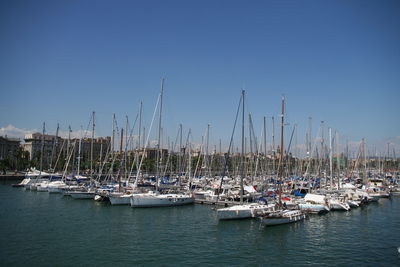 Sailboats moored in harbor against clear sky