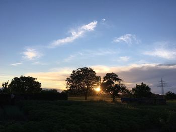 Scenic view of field against sky at sunset