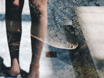 Low section of person with reflection in puddle