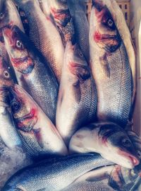 Close-up of fish for sale in market