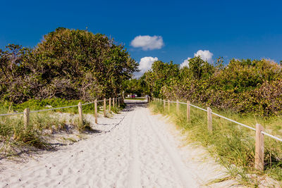 Road amidst trees against sky