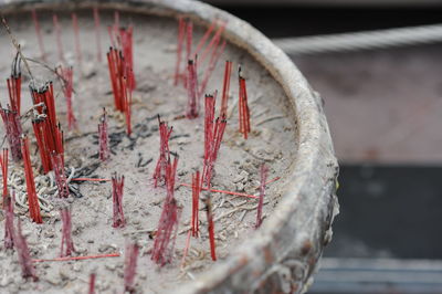 Close-up high angle view of burnt incense sticks in sand