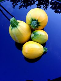 High angle view of vegetables on metal