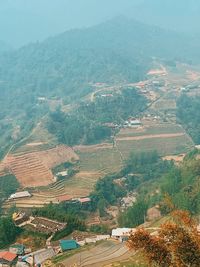 High angle view of agricultural field