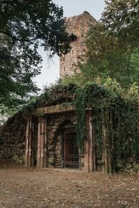 Old ruin building in forest