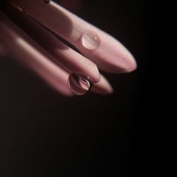 Close-up of human hand against black background