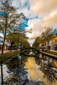 Reflection of trees and buildings in canal