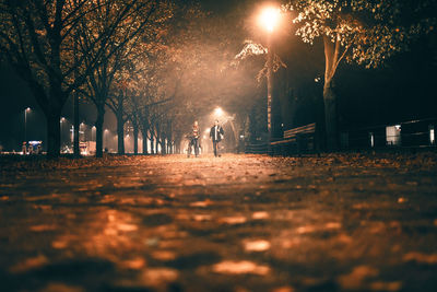 People walking on illuminated street in park at night